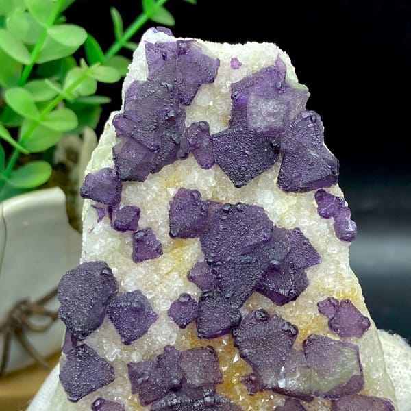 Plate of purple fluorite octahedra on white quartz from Zhejiang, China, second angle