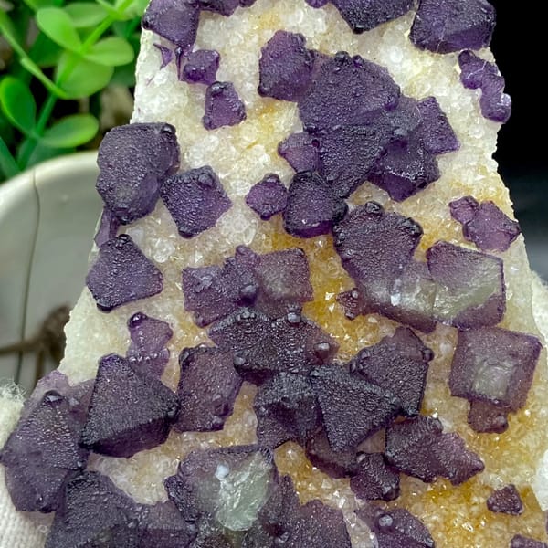 Plate of purple fluorite octahedra on white quartz from Zhejiang, China, reverse side