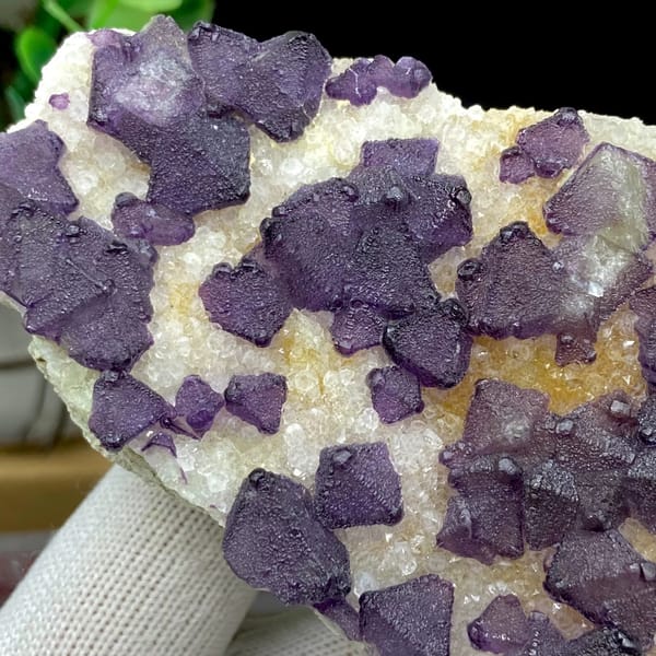 Plate of purple fluorite octahedra on white quartz from Zhejiang, China, top view