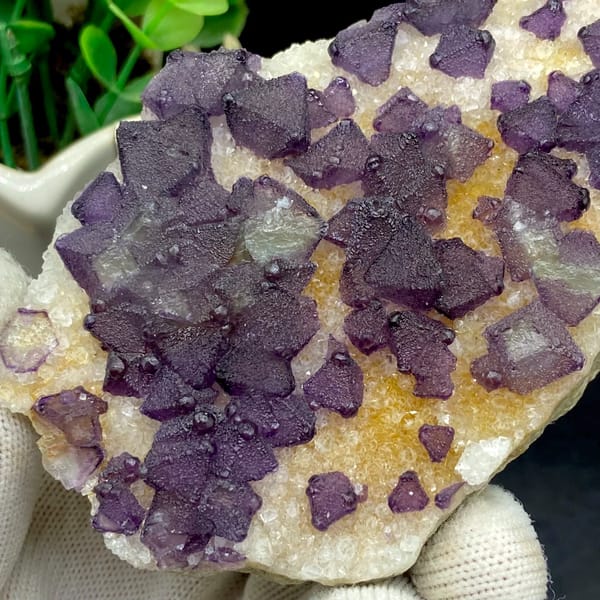 Plate of purple fluorite octahedra on white quartz from Zhejiang, China, close-up of terminations