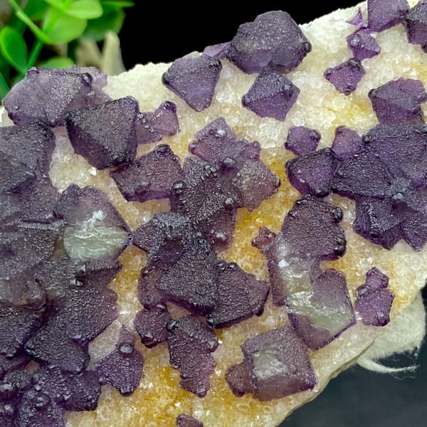 Plate of purple fluorite octahedra on white quartz from Zhejiang, China, overall view