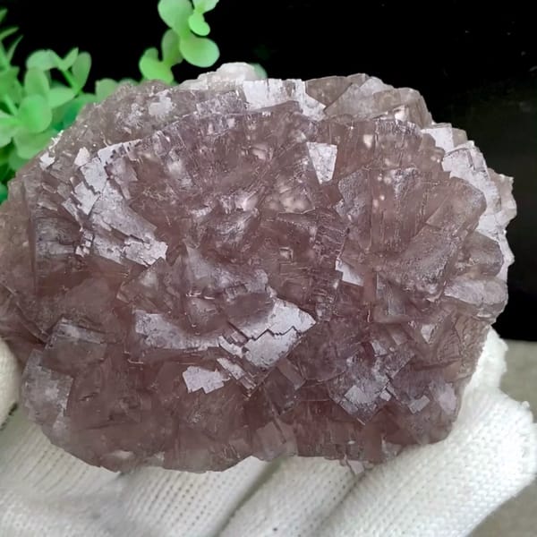 Dome of plum-purple fluorite cubes from Zhejiang, China, held in gloved hand