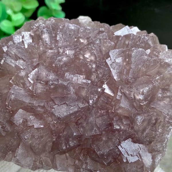 Dome of plum-purple fluorite cubes from Zhejiang, China, close-up of the crystal faces