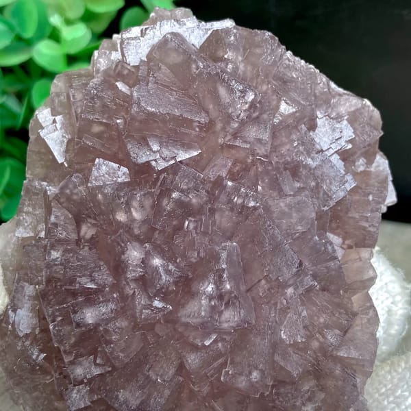 Dome of plum-purple fluorite cubes from Zhejiang, China, reverse side