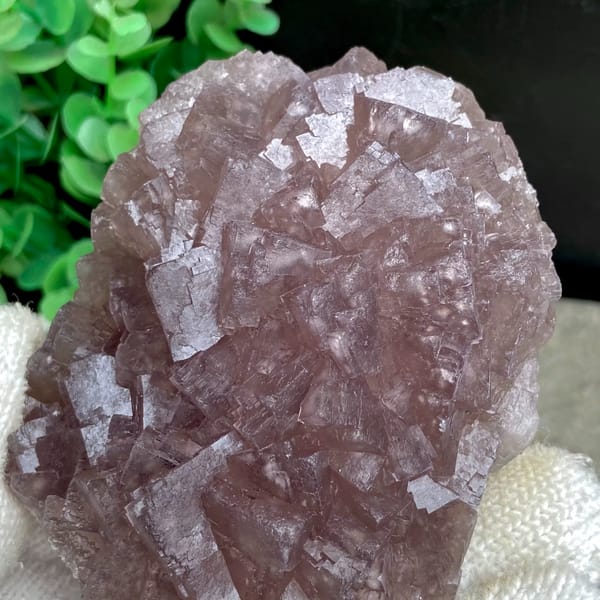 Dome of plum-purple fluorite cubes from Zhejiang, China, top view