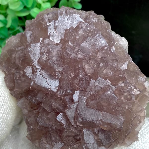 Dome of plum-purple fluorite cubes from Zhejiang, China, side view
