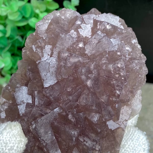 Dome of plum-purple fluorite cubes from Zhejiang, China, close-up of terminations