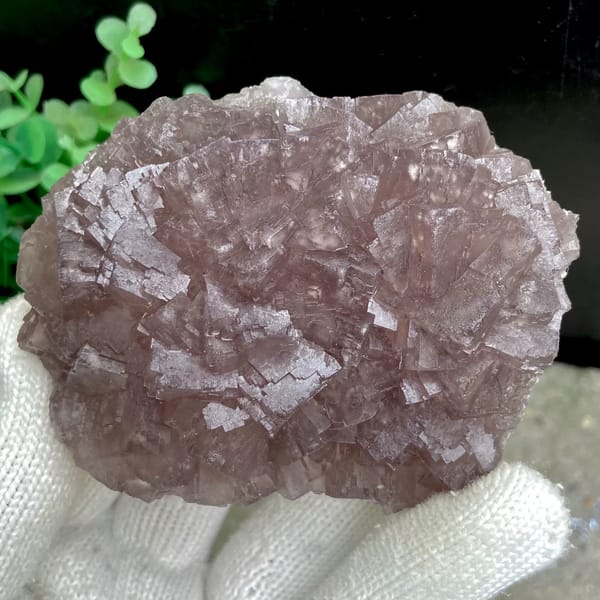 Dome of plum-purple fluorite cubes from Zhejiang, China, overall view
