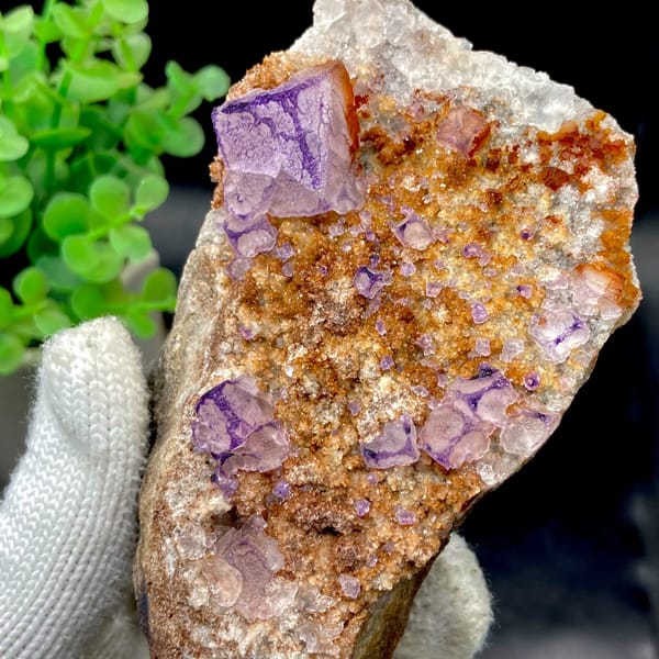 Purple-edged fluorite cubes over golden matrix from Guizhou, China, second angle