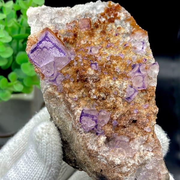 Purple-edged fluorite cubes over golden matrix from Guizhou, China, close-up of the crystal faces