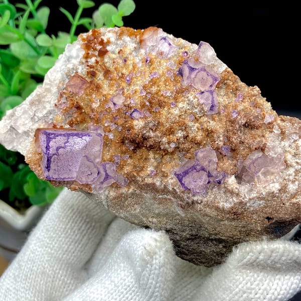 Purple-edged fluorite cubes over golden matrix from Guizhou, China, reverse side