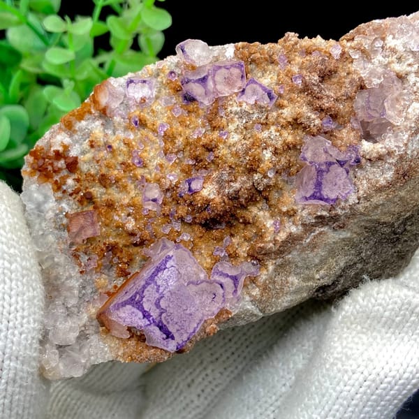 Purple-edged fluorite cubes over golden matrix from Guizhou, China, top view