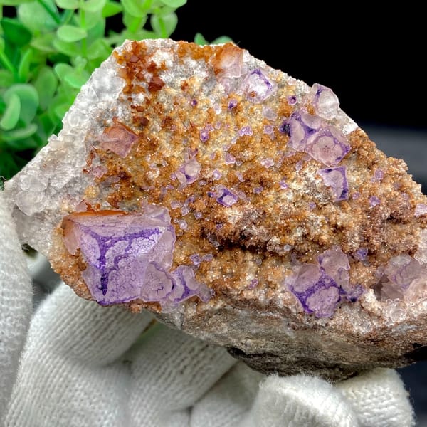 Purple-edged fluorite cubes over golden matrix from Guizhou, China, detail of the matrix contact