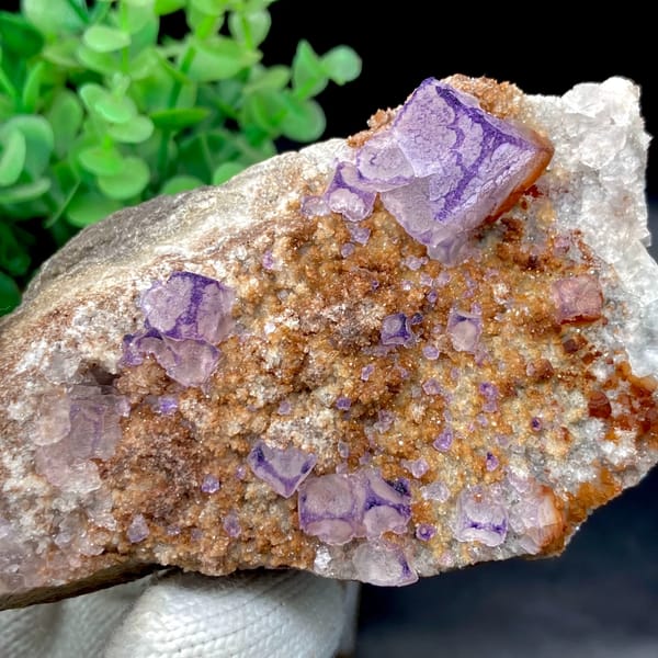 Purple-edged fluorite cubes over golden matrix from Guizhou, China, side view