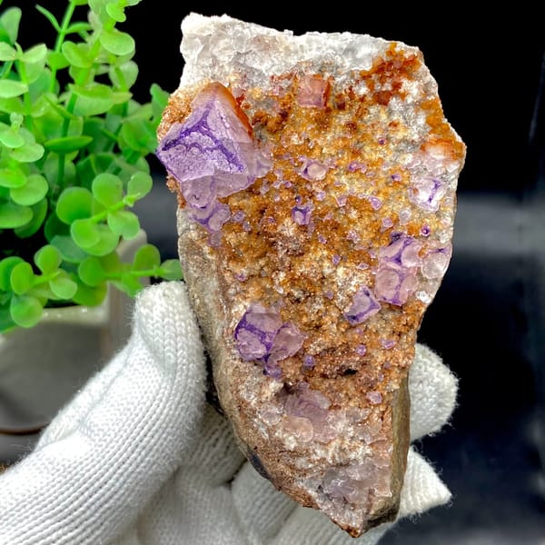 Purple-edged fluorite cubes over golden matrix from Guizhou, China, close-up of terminations