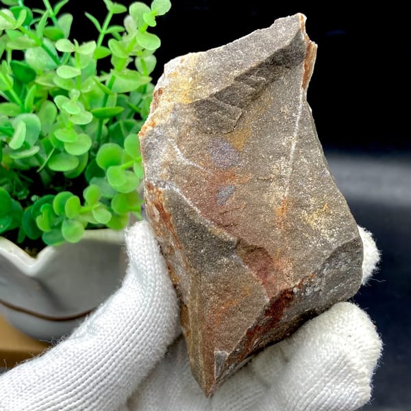 Purple-edged fluorite cubes over golden matrix from Guizhou, China, overall view