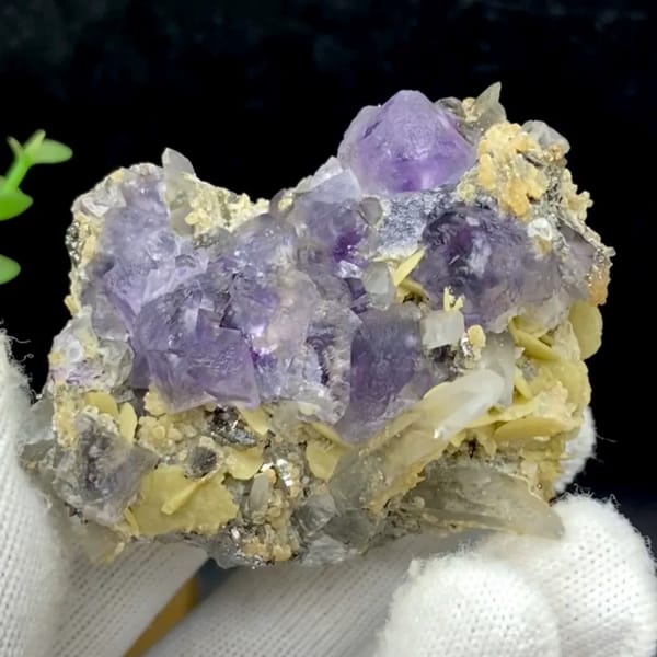 Purple fluorite cubes with quartz and siderite from Yaogangxian, Hunan, China, held in gloved hand
