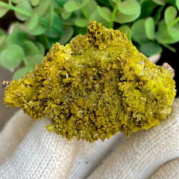 Matcha-green pyromorphite needles covering plate from Guangxi, China, second angle