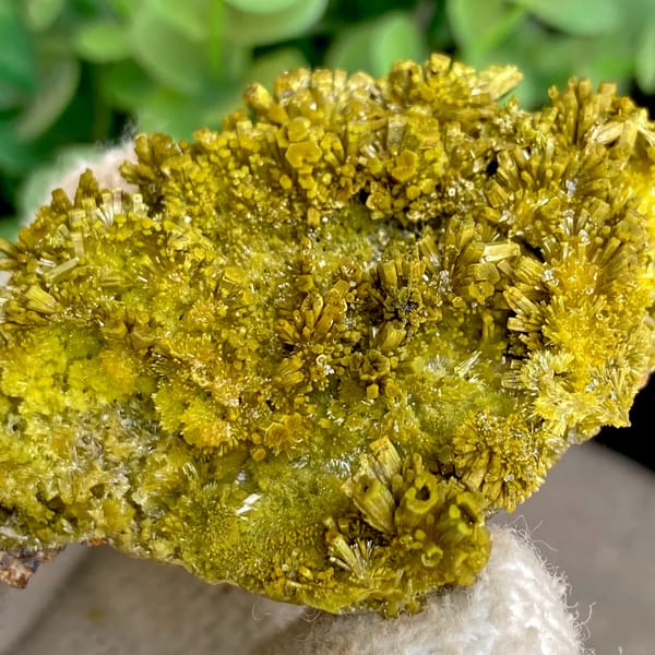 Matcha-green pyromorphite needles covering plate from Guangxi, China, close-up of the crystal faces