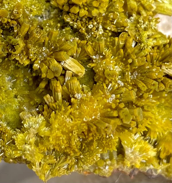Matcha-green pyromorphite needles covering plate from Guangxi, China, top view