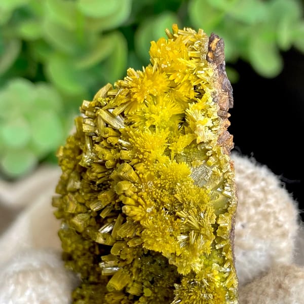 Matcha-green pyromorphite needles covering plate from Guangxi, China, detail of the matrix contact
