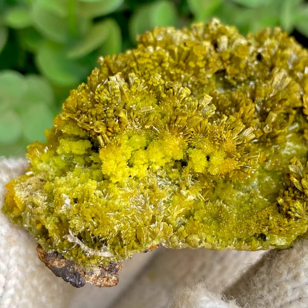 Matcha-green pyromorphite needles covering plate from Guangxi, China, side view
