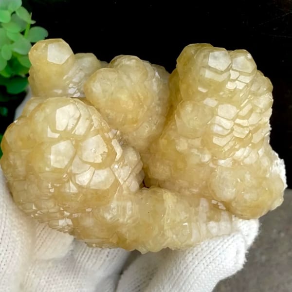 Cluster of honey-yellow stepped calcite columns from Guizhou, China, held in gloved hand