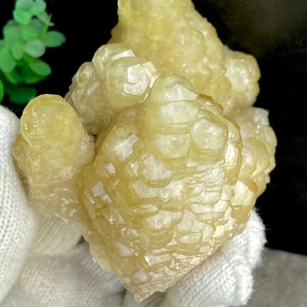 Cluster of honey-yellow stepped calcite columns from Guizhou, China, reverse side