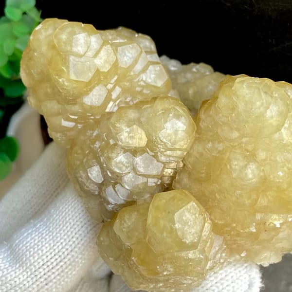Cluster of honey-yellow stepped calcite columns from Guizhou, China, top view