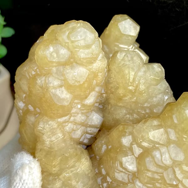 Cluster of honey-yellow stepped calcite columns from Guizhou, China, side view