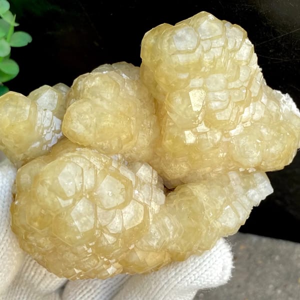 Cluster of honey-yellow stepped calcite columns from Guizhou, China, overall view