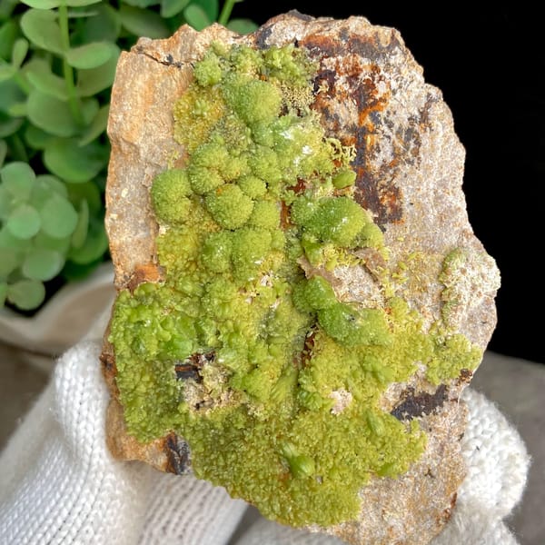 Lime-green botryoidal pyromorphite on rusty plate from Gongcheng, Guangxi, China, second angle