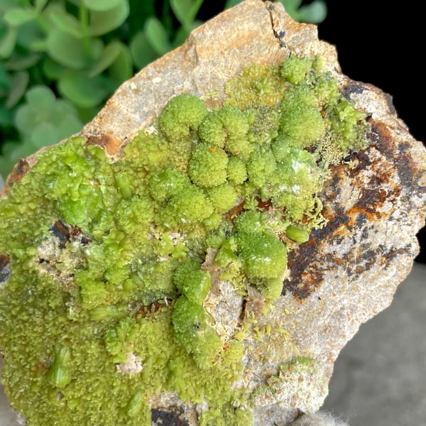 Lime-green botryoidal pyromorphite on rusty plate from Gongcheng, Guangxi, China, close-up of the crystal faces