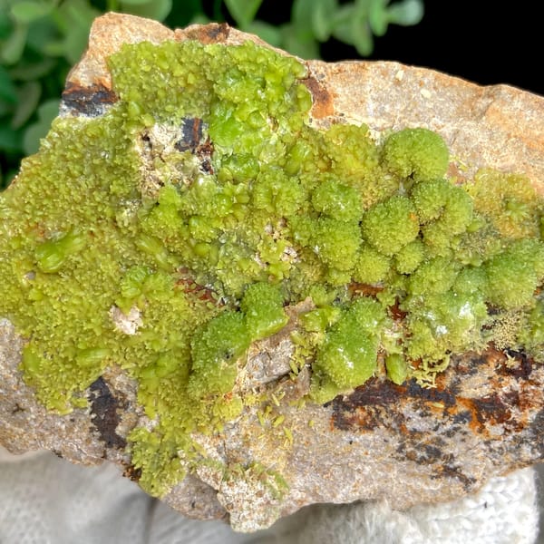 Lime-green botryoidal pyromorphite on rusty plate from Gongcheng, Guangxi, China, reverse side