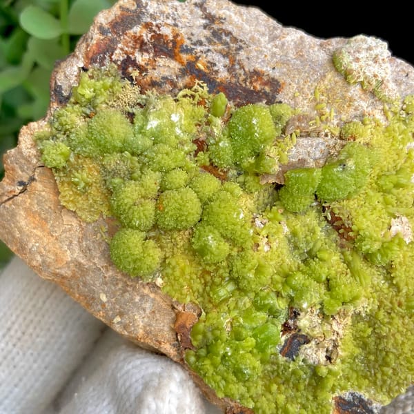 Lime-green botryoidal pyromorphite on rusty plate from Gongcheng, Guangxi, China, top view