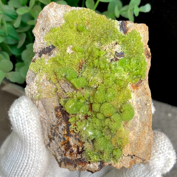 Lime-green botryoidal pyromorphite on rusty plate from Gongcheng, Guangxi, China, overall view
