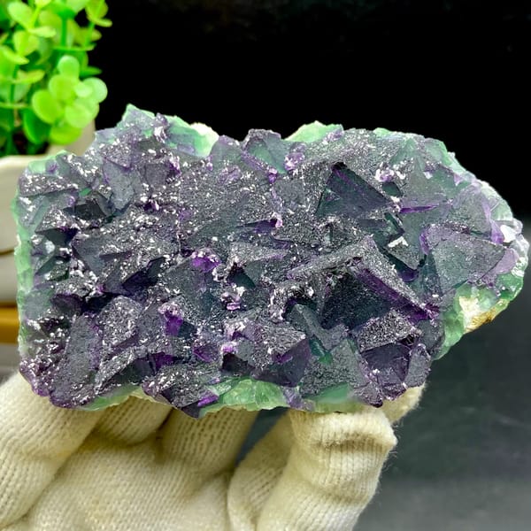 Dark green fluorite octahedra with purple edges and sparkling coating from Zhejiang, China, second angle