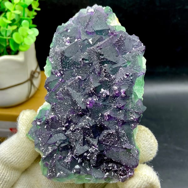 Dark green fluorite octahedra with purple edges and sparkling coating from Zhejiang, China, reverse side