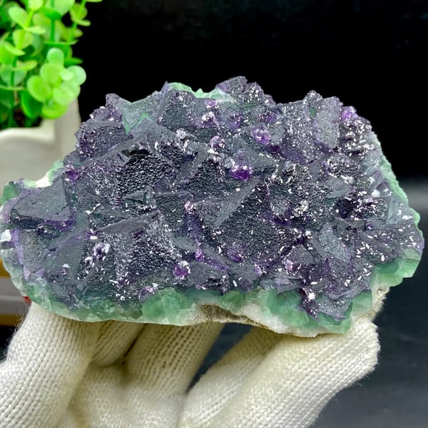 Dark green fluorite octahedra with purple edges and sparkling coating from Zhejiang, China, top view