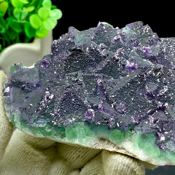 Dark green fluorite octahedra with purple edges and sparkling coating from Zhejiang, China, detail of the matrix contact