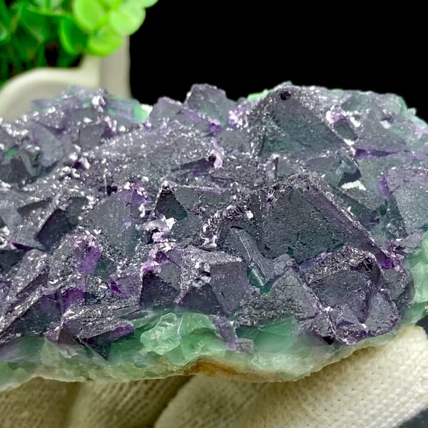 Dark green fluorite octahedra with purple edges and sparkling coating from Zhejiang, China, side view