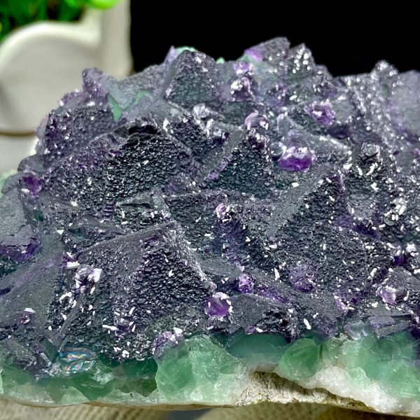 Dark green fluorite octahedra with purple edges and sparkling coating from Zhejiang, China, close-up of terminations