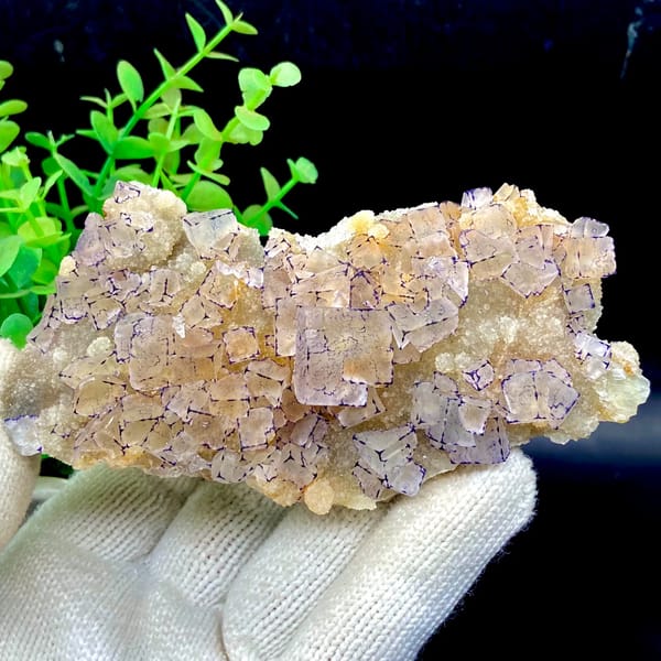 Tall plate of transparent purple-edged fluorite cubes from Guizhou, China, close-up of the crystal faces