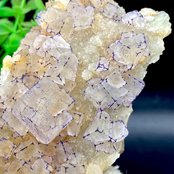 Tall plate of transparent purple-edged fluorite cubes from Guizhou, China, top view
