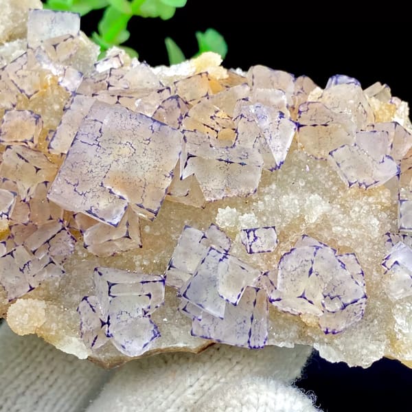 Tall plate of transparent purple-edged fluorite cubes from Guizhou, China, detail of the matrix contact