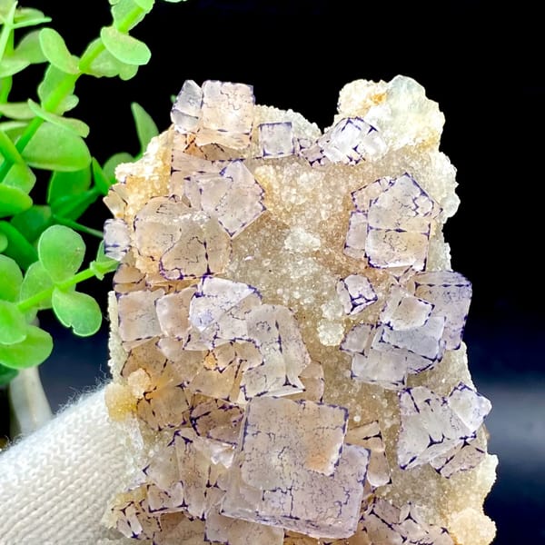 Tall plate of transparent purple-edged fluorite cubes from Guizhou, China, close-up of terminations