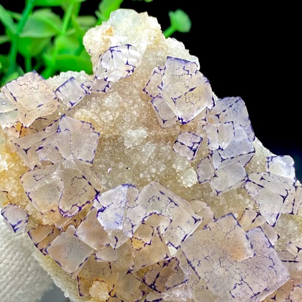 Tall plate of transparent purple-edged fluorite cubes from Guizhou, China, overall view