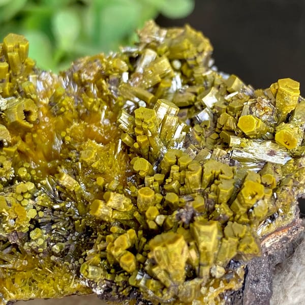 Matcha-green pyromorphite prisms covering tall wedge from Guangxi, China, reverse side