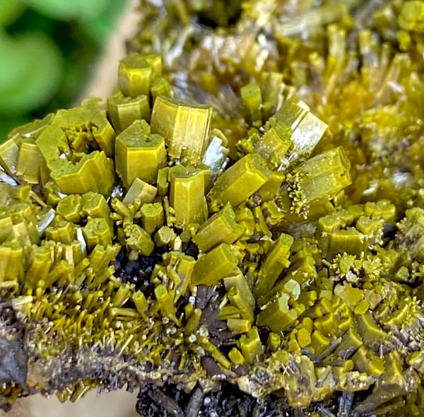 Matcha-green pyromorphite prisms covering tall wedge from Guangxi, China, detail of the matrix contact