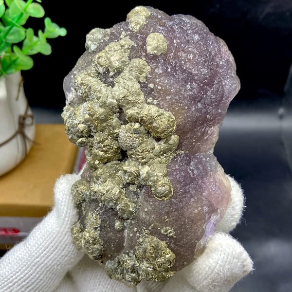 Pale pyrite rosettes over plum-purple fluorite from Jiangxi, China, second angle